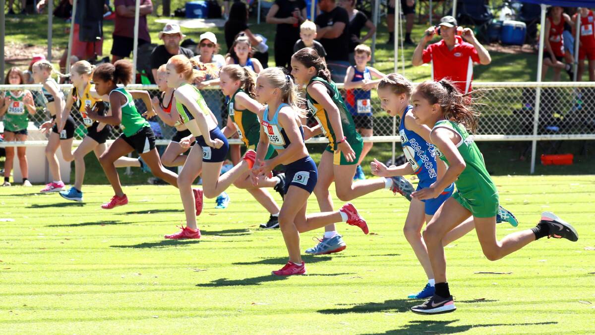ON TRACK: Sprinters in the straight at last year's Little Athletics State Qualifying Meet at Wagga. Picture: Les Smith
