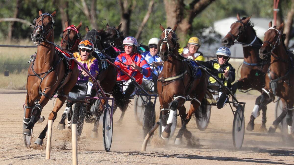 SEASON RESUMES: Pacing at Temora's cup meeting in January. Picture: Les Smith