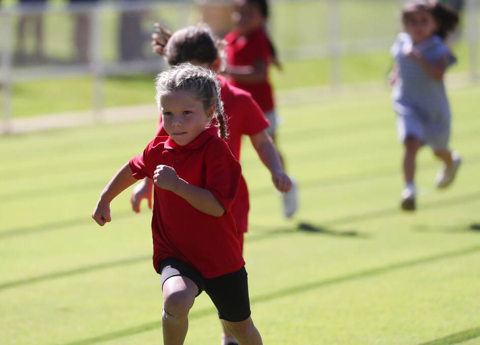 SERIOUS BUSINESS: Yulowirri Cummins, 5, is a picture of determination in her sprint at the Mt Austin Public School athletics carnival. Picture: Emma Hillier