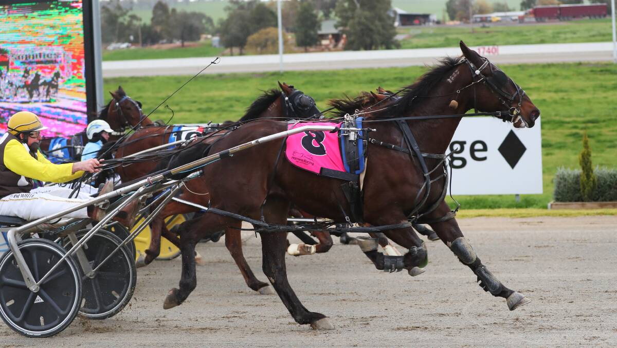 DEJA VU: Defiant winning for driver Peter McRae and Junee trainer Trevor White at Wagga back in May. The trio teamed up for another win on Friday afternoon, again in the number eight.