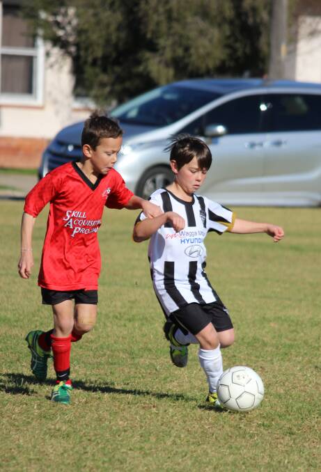 WAGGA REPRESENT: Under 9s Wagga representative Lucas Brett (right) takes on an Albury opponent at a Gala Day in mid June.