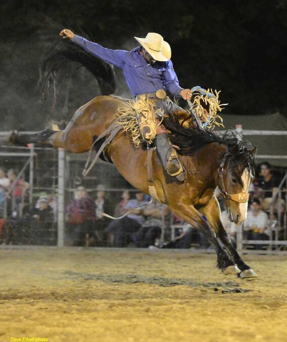 LEGEND: Tooma saddle bronc rider Brad Pierce will be going for broke at Gundagai on Saturday following a good run at Warwick. There's $1200 up for grabs in his pet event and seven other senior events respectively. Picture: Dave Ethell