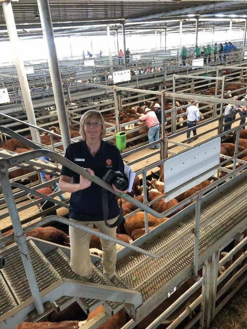 Saleyards have been the daily office for long-standing rural reporter Kim Woods, who is pictured here at Wodonga saleyards. Picture supplied
