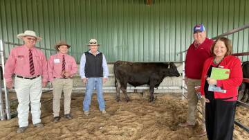 Sumo Itoshigenami R155 sold for $46,000 on Tuesday pictured with Elders selling agent John Carey, Dorrigo; auctioneer Lincoln McKinlay, Sumo manager Eric Fraser, James Matts, Elders Wagyu Chichilla, Qld and stud principal Mary Coates.