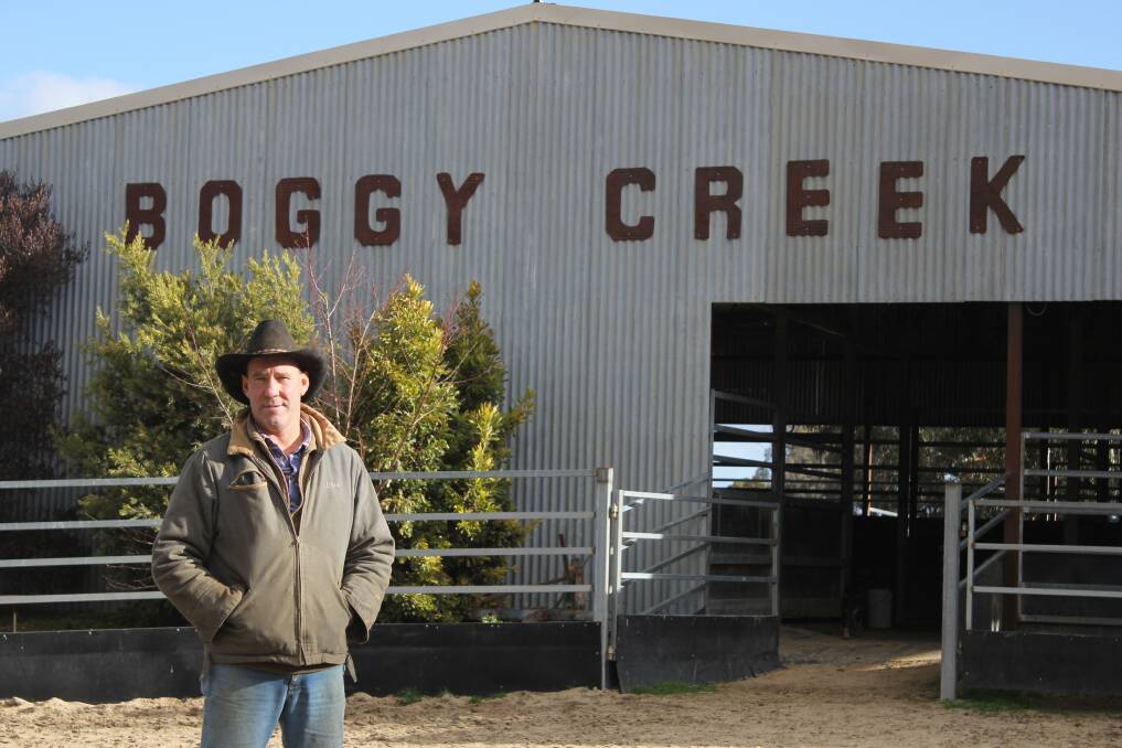 Shearer to showman: Riverina mountain cattleman Tim O'Brien traded his shears for an arena 13 years ago when he created Tumbarumba's Boggy Creek Show. Picture: Steff Wills 