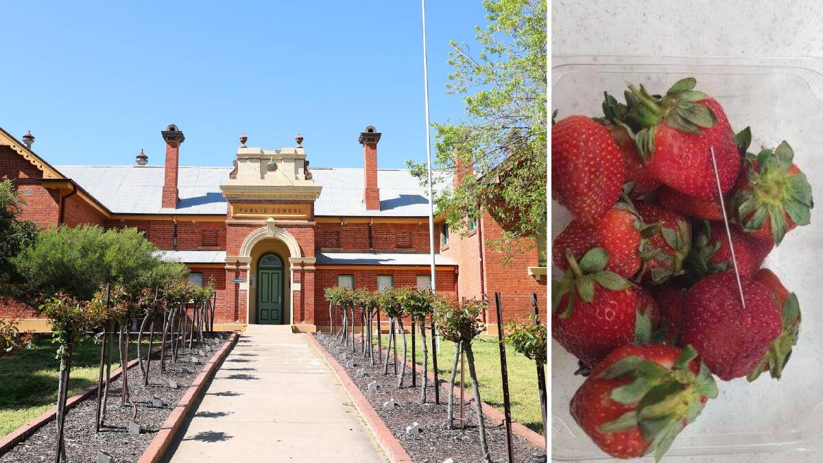 Needle discovered in Wagga student’s strawberry
