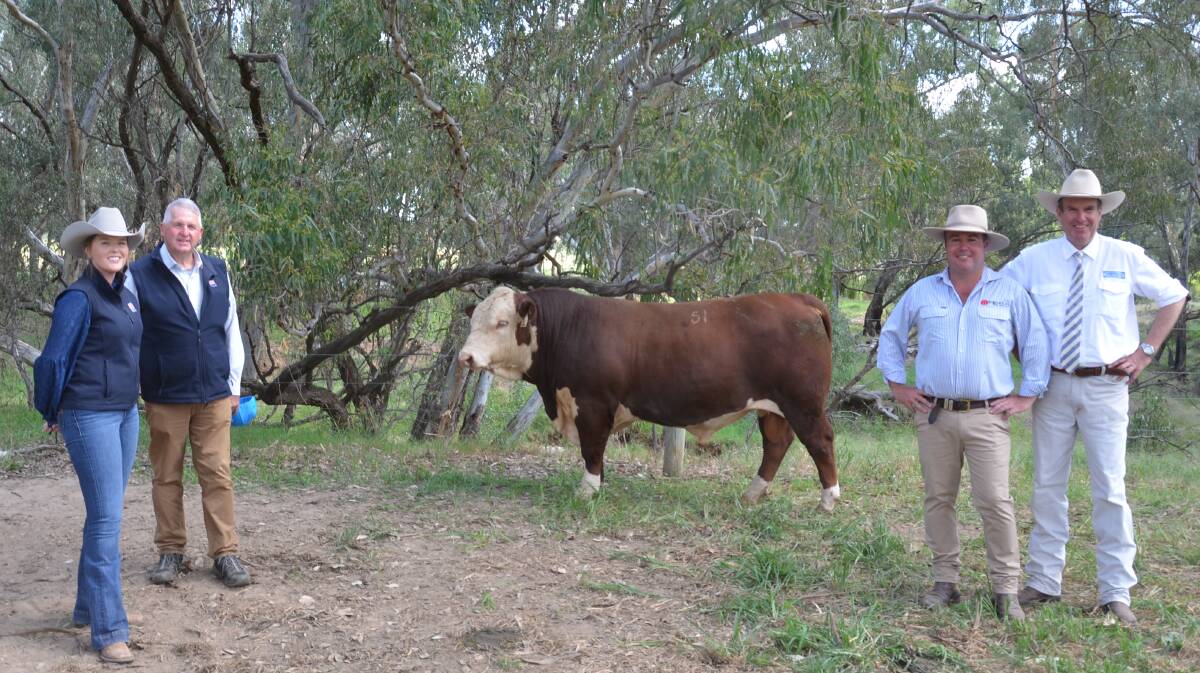 The $160,000 bull, Injemira Redford J006 Q287, with ABS' Annie Pumpa and Bill Cornell, who were part of the buyers syndicate, Injemira stud principal Marc Greening and auctioneer Paul Dooley. 