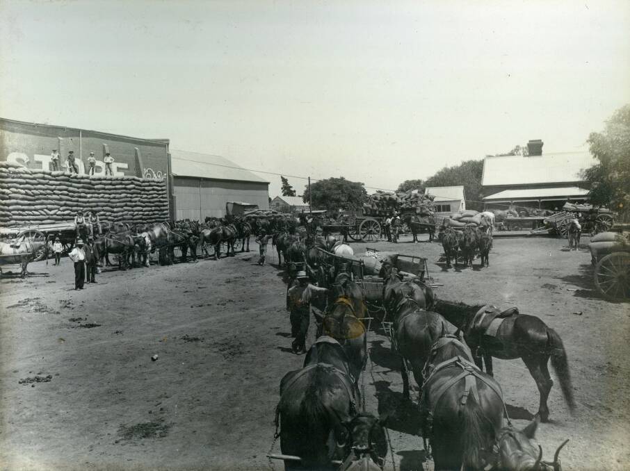 TRAFFIC JAM: Traffic in the Wagga Mill Yard in the early 1900s. Contact Wagga Wagga and District Historical Society at www.wwdhs.org.au. Picture: Anthony Brunskill Album 1910