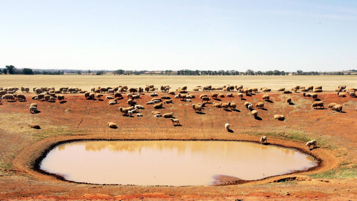 NOT NEW: Droughts have forever been a natural part of the Australian landscape, as this picture from the Riverina in 2007 shows. 
