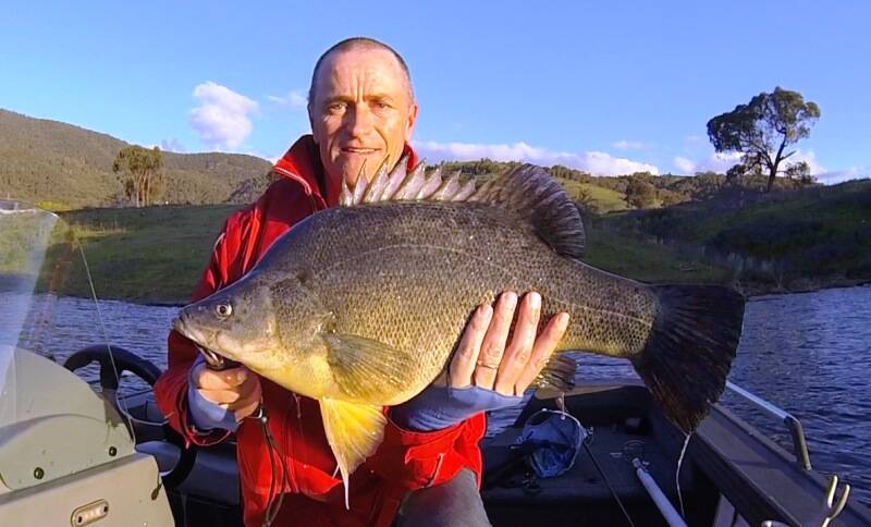 NICE ONE: Craig Elphick with a nice looking yella caught at Blowering. Send your fishing pics to craig@waggamarine.com.au.