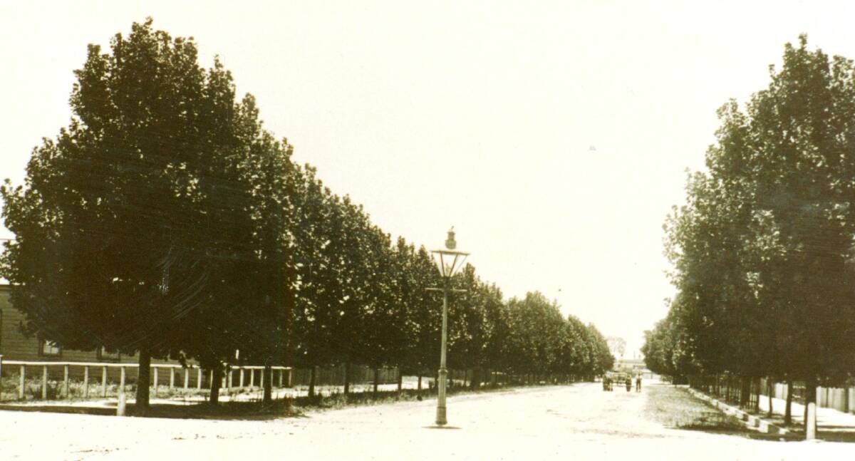 BEGINNINGS: An early photo of tree lined Gurwood Street looking east. Contact Wagga Wagga and District Historical Society at www.wwdhs.org.au  or on Facebook at wagga.history. Picture: Sherry Morris collection