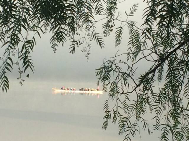 WINTER ON THE WATER: Wendy Callis entered this picture of dragon boating in the Fog on Lake Albert in our Winter Photo Competition. Enter: www.dailyadvertiser.com.au.