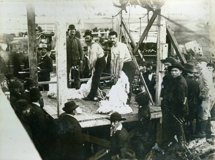 PAST: A shearing competition at the Wagga Show in the early 1900s. Contact Wagga Wagga and District Historical Society at www.wwdhs.org.au or on Facebook. Pictrure: Brunskill Album, Museum of the Riverina