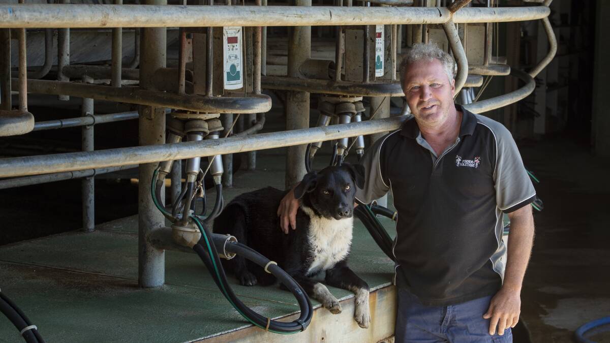 Anthony, with Axel, in his rotary dairy on his Purnim Holstein farm. He milks up to 460 cows, twice a day.