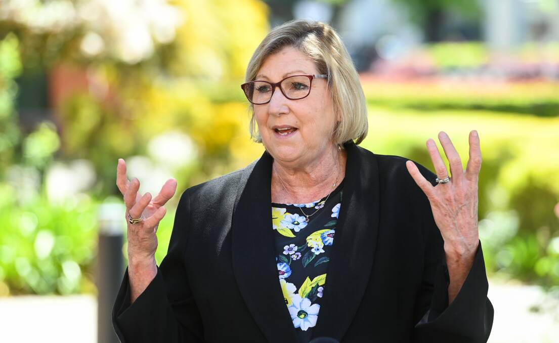 Murrumbidgee Local Health District chief executive Jill Ludford answered scores of questions about the medical needs and responses of the Riverina's population at an inquiry. File picture