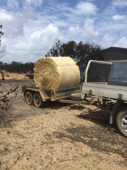  Kangaroo Island resident Mark Russell has delivered hay for wildlife out at his burned out block. 