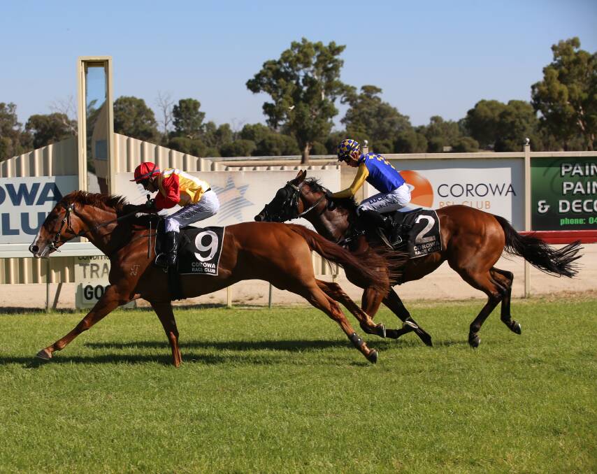 DROUGHT BREAKER: Nagging holds off Wangaratta-trained Pittsburgh to claim the $35,000 Corowa Cup on Saturday. Picture: JAMES WILTSHIRE