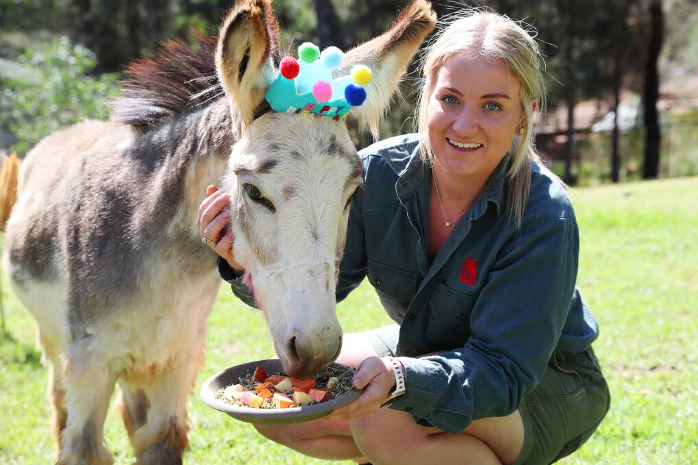 HAPPY BIRTHDAY: Kira McBeath put together a plate cake for Bubba Gumps' first birthday celebrations at the Botanic Gardens Zoo. Picture: Emma Hillier  