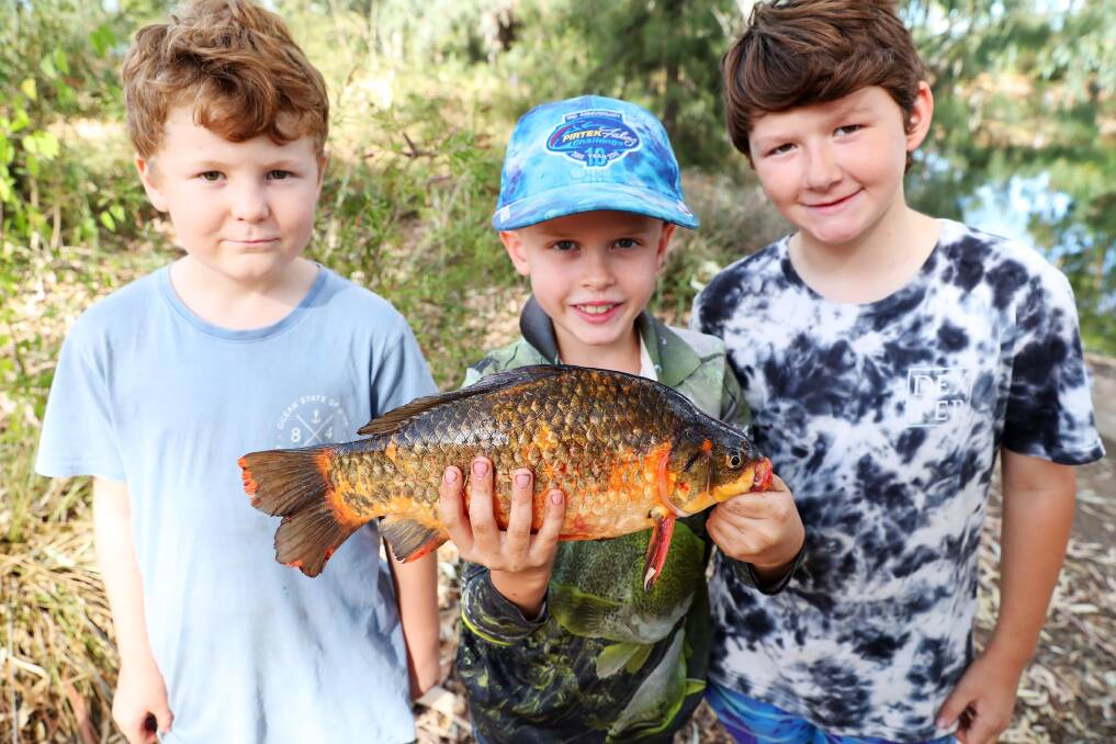 WHAT A CATCH: Henry Harper, 7, Lance Palmer, 8, and Taj Harper, 9, with their latest catch. Picture: Emma Hillier 