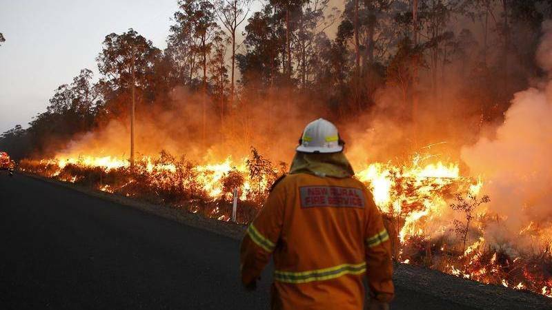 How Wagga residents can help bushfire victims and firefighters