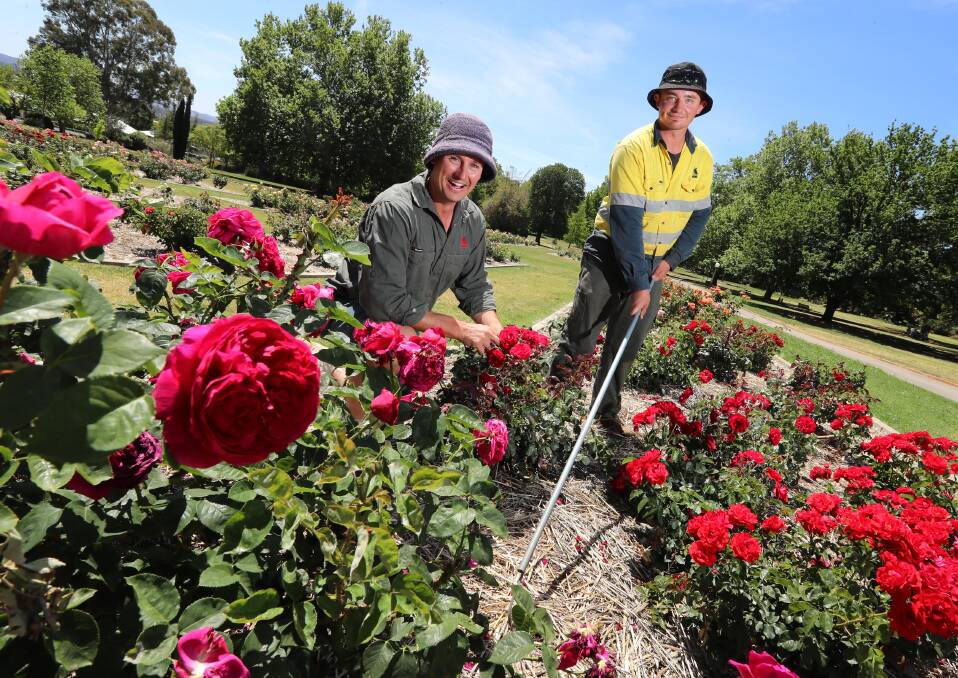 IN BLOOM: Henry Pavitt and Shaun Reardon are working hard to keep the gardens in prime condition for residents and visitors. Picture: Les Smith 