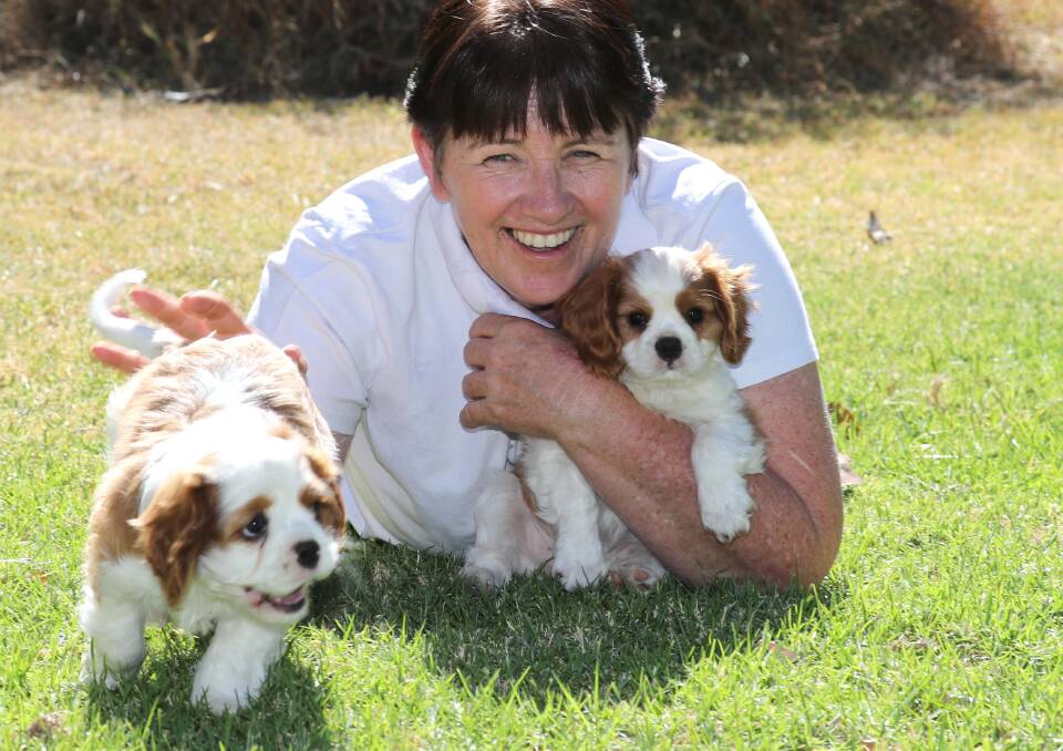 ETHICAL BREEDING: Lyndy Morris welcomes the government's decision to revisit its dog breeding guidelines. Picture: Les Smith