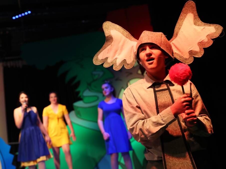 SOLOIST: Harry Moorby plays Horton the Elephant in Seussical. Picture: Emma Hillier 