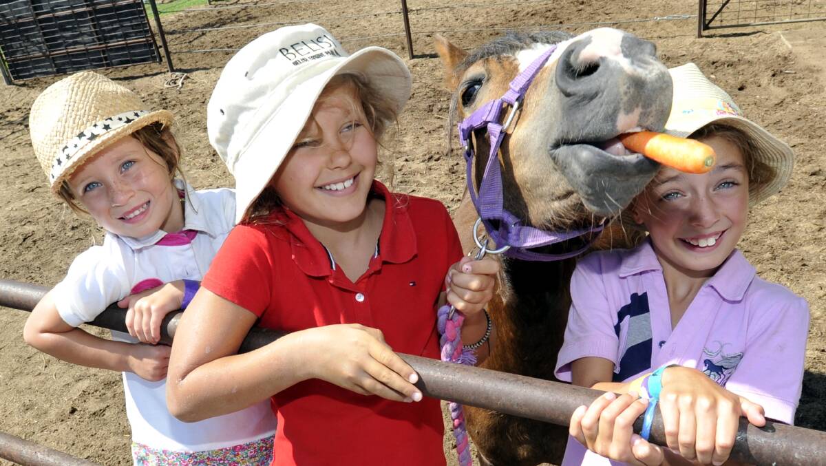 THROWBACK: Willow Cornius-Randall, 4, Nina Riethmuller, 8, and Indiana Cornius-Randall, 7, with Treeba the carrot-loving horse at Belisi Equine Park. 