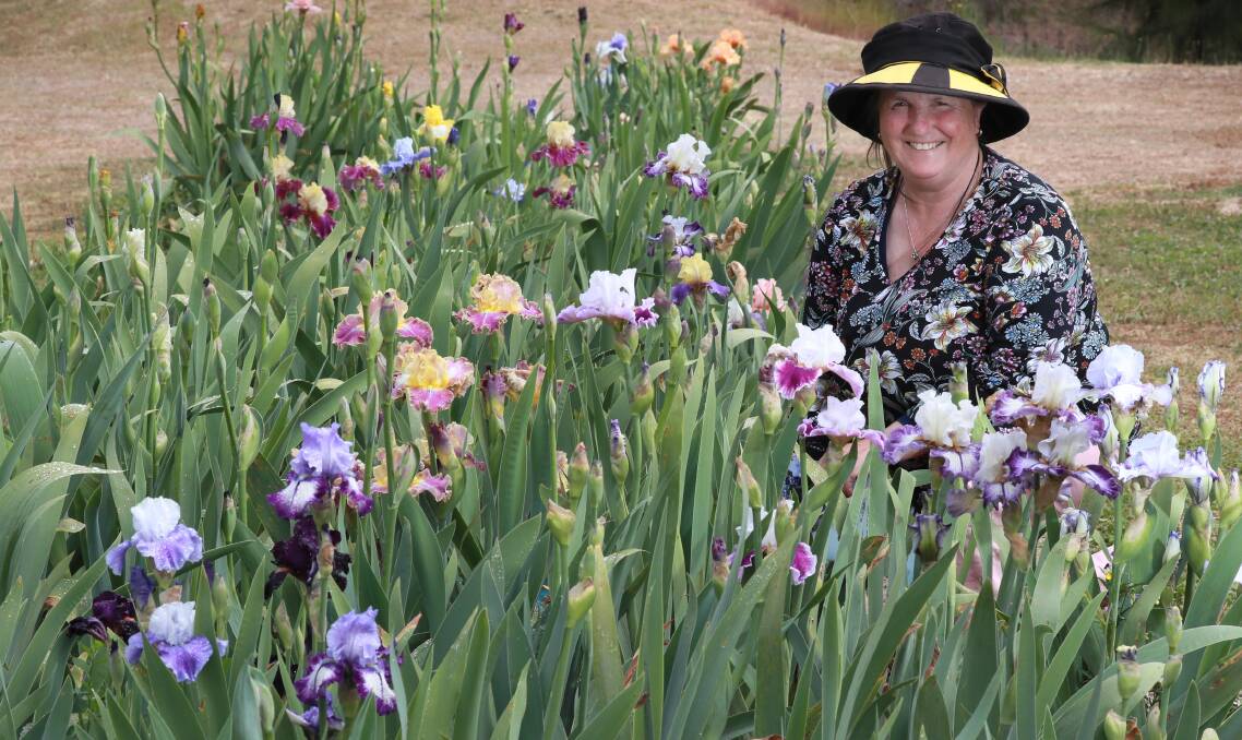 COMING INTO BLOOM: Annette tenBroeke of the Riverina Iris Farm with some of her stock which have started flowering. Picture: Les Smith