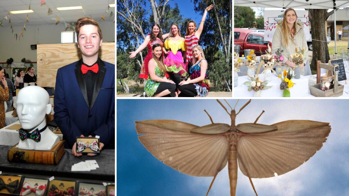 What’s On: Five things to do in the Riverina this weekend