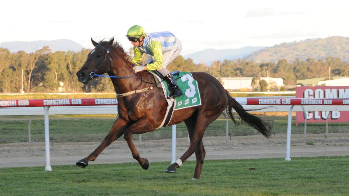 STROLL IN THE PARK: The Geoff Duryea-trained Front Page won by almost 10-lengths at Albury on Monday with Jordan Mallyon aboard and is city bound after the impressive display. Picture: KYLIE SHAW, TRACKPIX