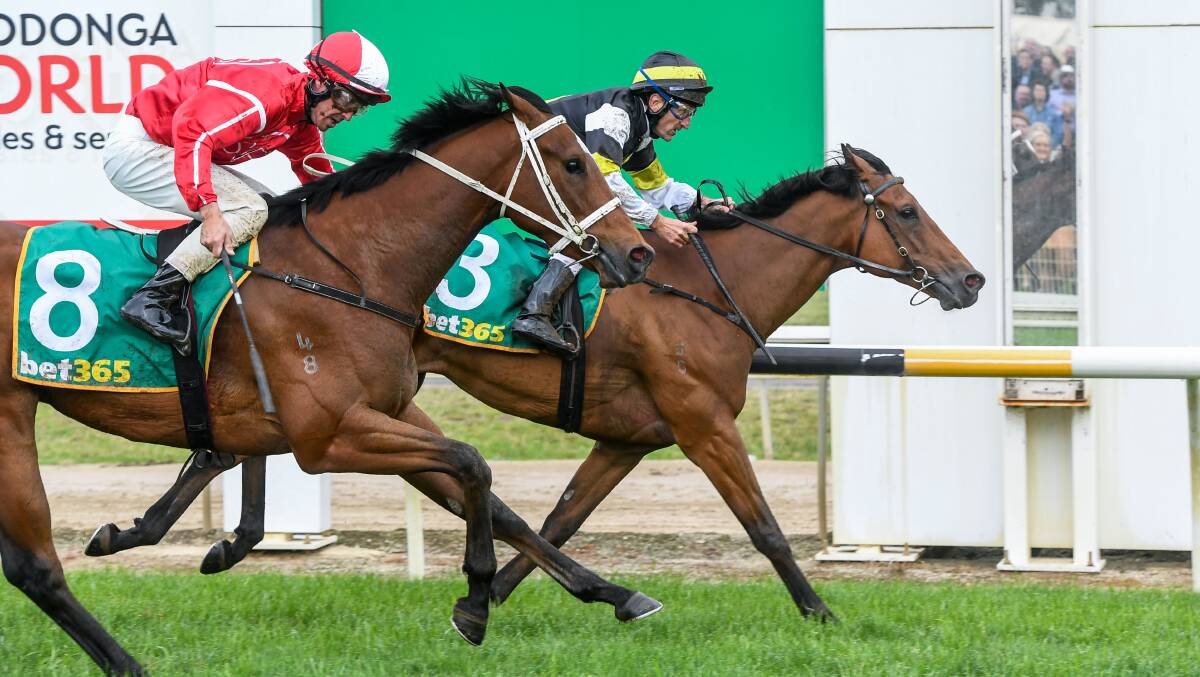 HOME: The Brian McGrath-trained Inkslinger edges out Andrew Dale-trained Mojo Music. Picture: RACING PHOTOS