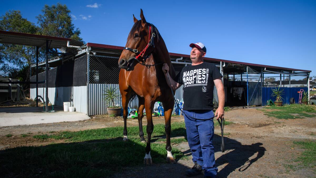 Stein is hoping Indian Soldier can form part of the stable's assault on the Newhaven Park SDRA Country Championships at Albury early next year. Picture by Mark Jesser
