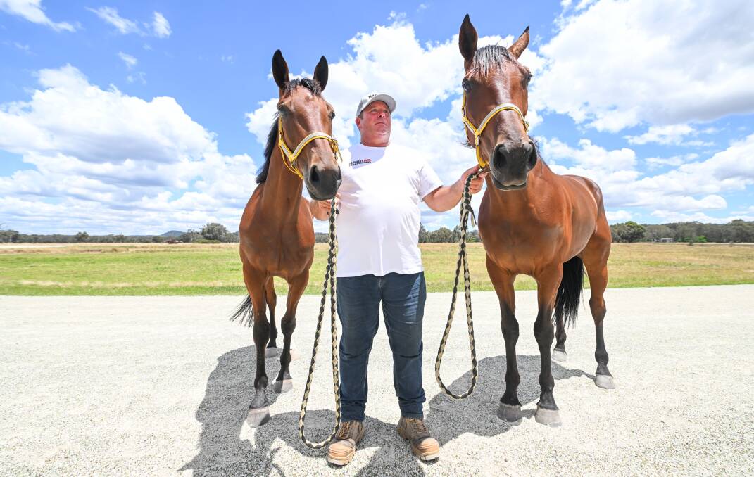 Romero with stablemates Jilliby Fabio and Tizzy Lizzy ahead of Albury Harness Racing Club's meeting on New Year's Eve. Picture by Mark Jesser