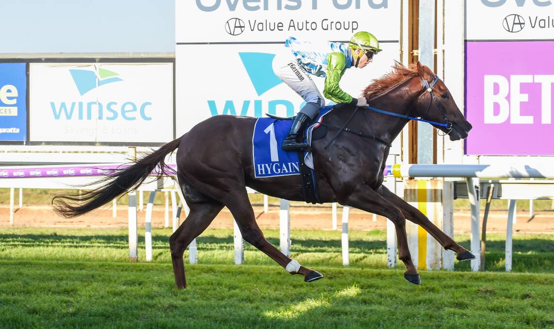 SLICK: The Geoff Duryea-trained Front Page proved a class above his rivals once again at Wangaratta on Thursday. Picture: RACING PHOTOS