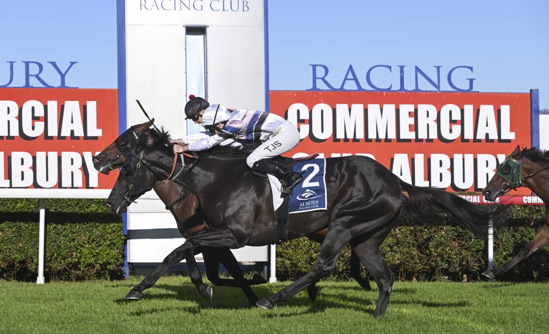 The Mitch Beer-trained Flying Sultan (inside) narrowly holds of the powerful finishing burst of the Ron Stubbs-trained Bianco Vilano in the City Handicap at Albury racecourse on Thursday. Picture by Mark Jesser