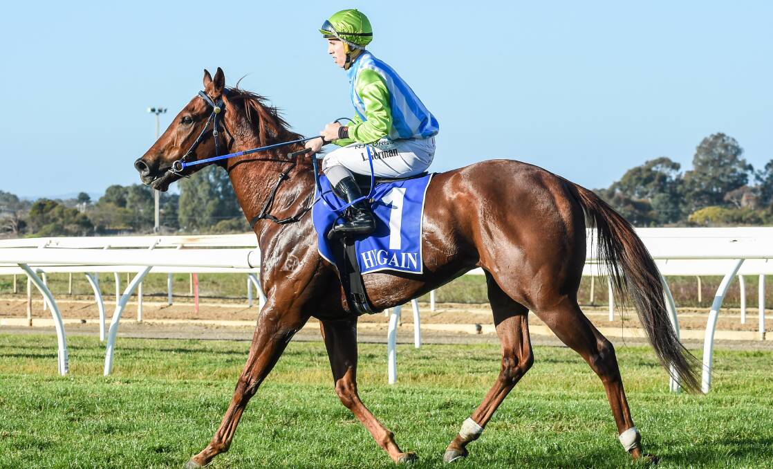 IMPRESSIVE: Front Page returns to scale at Wangartta with Lewis German aboard after notching his third career win. Picture: RACING PHOTOS