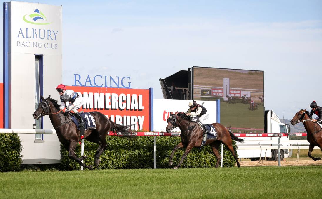 The Ron Stubbs-trained Bianco Vilano winning the SDRA Country Championships Quaulifier at Albury last year with jockey Jason Lyon aboard. Picture by James Wiltshire