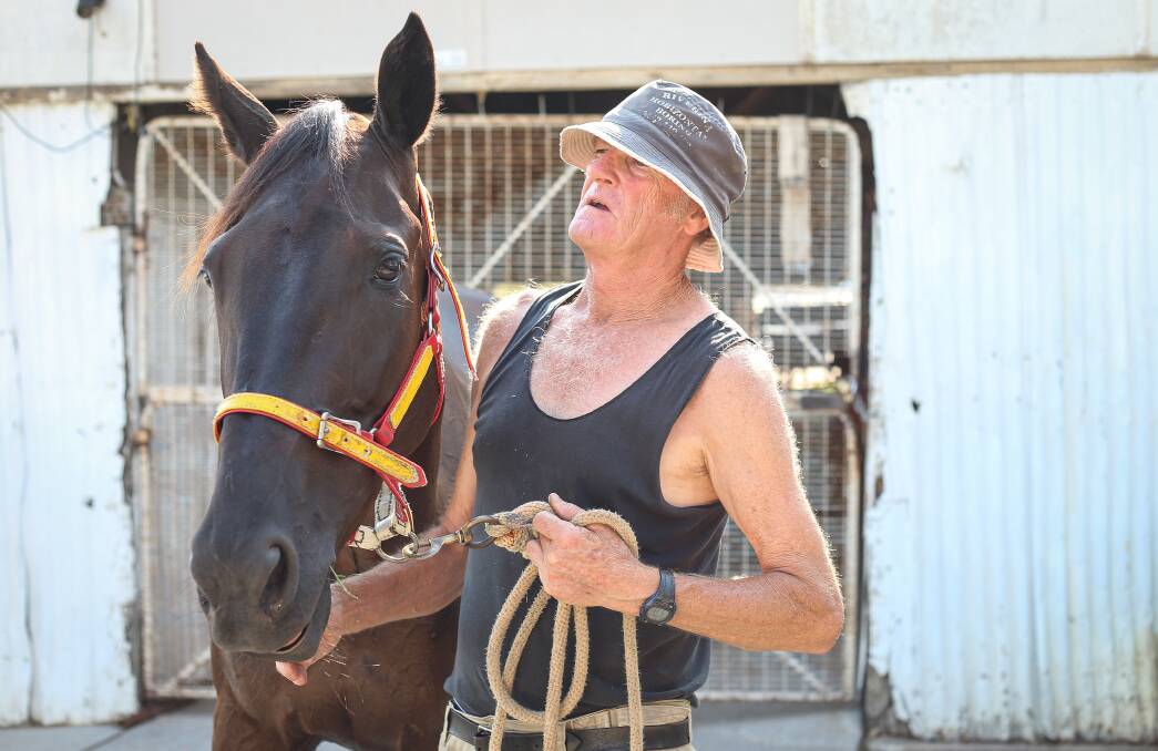 CUP HOPE: Ian "Oscar" Livermore and Carla Clare will be aiming for back-to-back cups at the Albury Paceway on Friday night. Picture: James Wiltshire