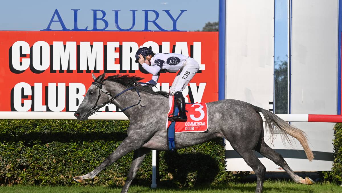 SLICK: Harmony Rose smashed the previous track record in the Albury Gold Cup on Friday. Picture: MARK JESSER