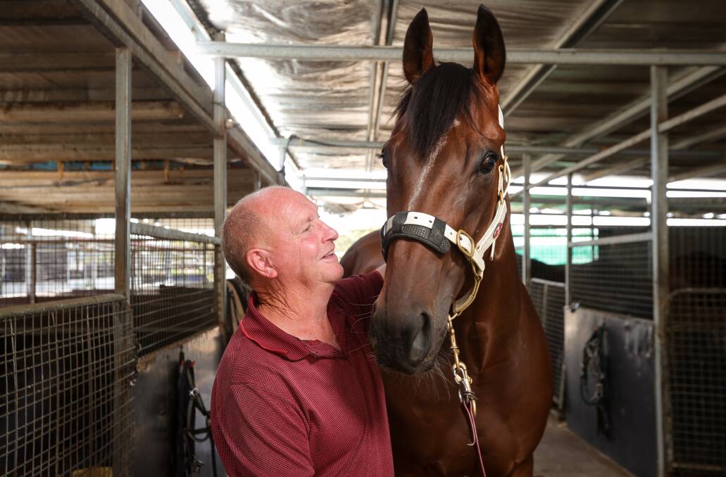 Trainer Kym Davison has Canny Lad 'looking like a million dollars' ahead of his Country Championship assault at Albury on Sunday. Picture by James Wiltshire