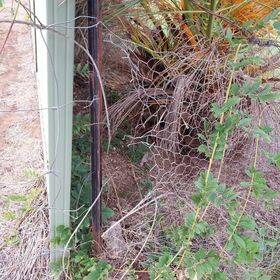 A chicken wire fence was damaged at a Henty property before the alleged theft of a family's Australian bulldog. Picture supplied