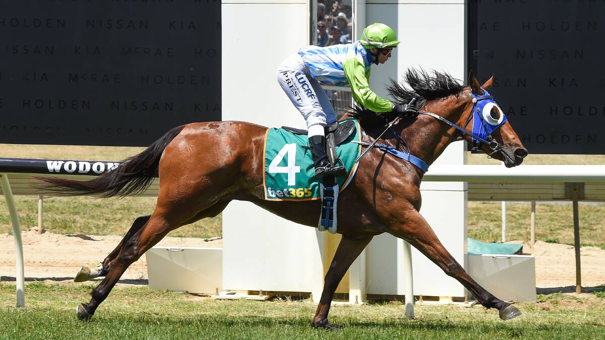Geoff Duryea has three runners in Thursday's race meet at Corowa, including Kapova, which won at Wodonga on Gold Cup day.