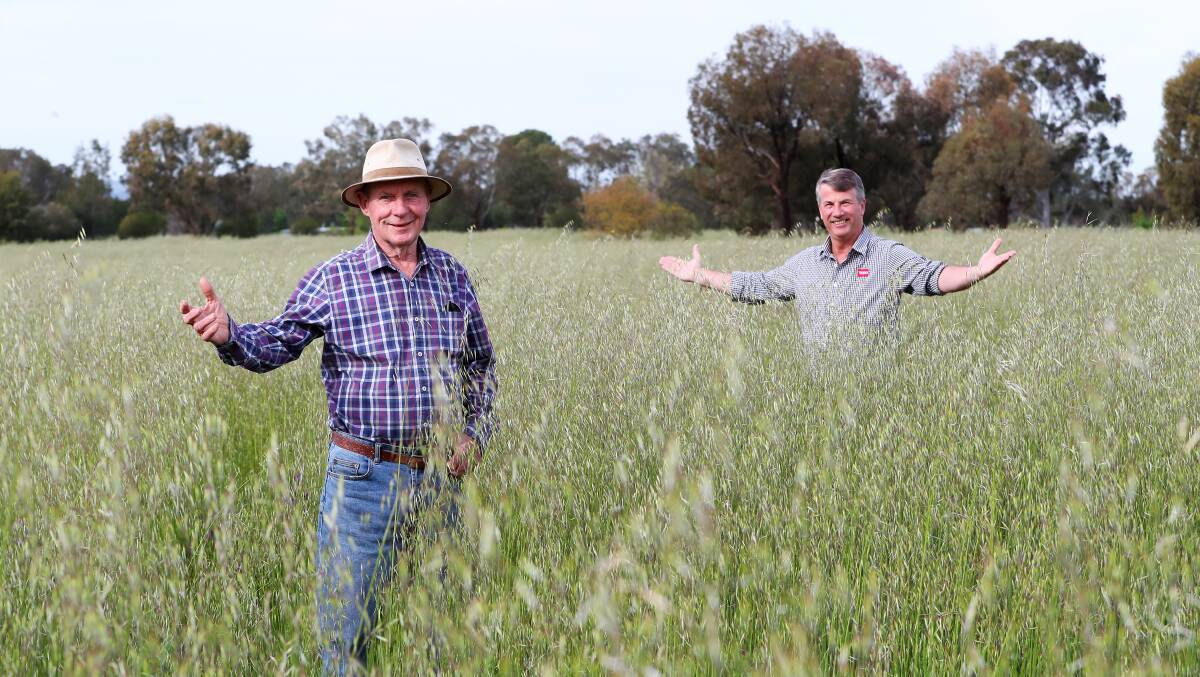 DIAMOND IN THE ROUGH: Landholders Des Lane and Michael Lenehan, of the proposed housing estate for Lake Albert, look to transform unkempt land into new homes. Picture: Emma Hillier 