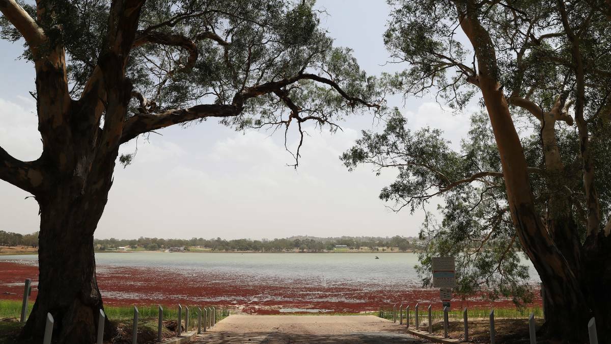 Battle to top-up Lake Albert could see water used to fight fires