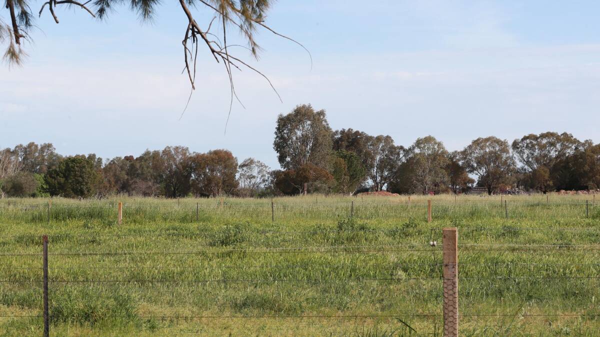 BOOMING: Lake Albert land bounded by Silverwood, Birch, Brunskill and Mitchell roads could become a 150-home housing estate in the future. Picture: Les Smith