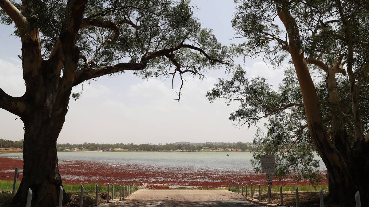 Fishers warned to keep lines out of Lake Albert