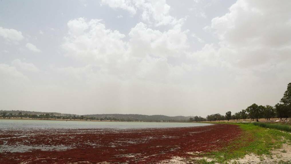 Ambitious plan to top up Lake Albert a long way from reality