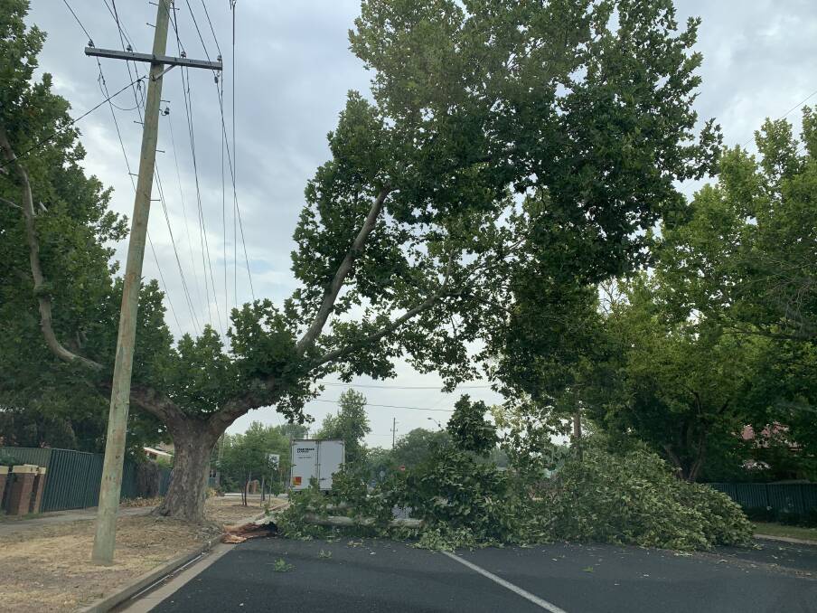 TUMBLING DOWN: A fallen tree blocking off a lane in Beckwith Street on Wednesday morning. Picture: Contributed