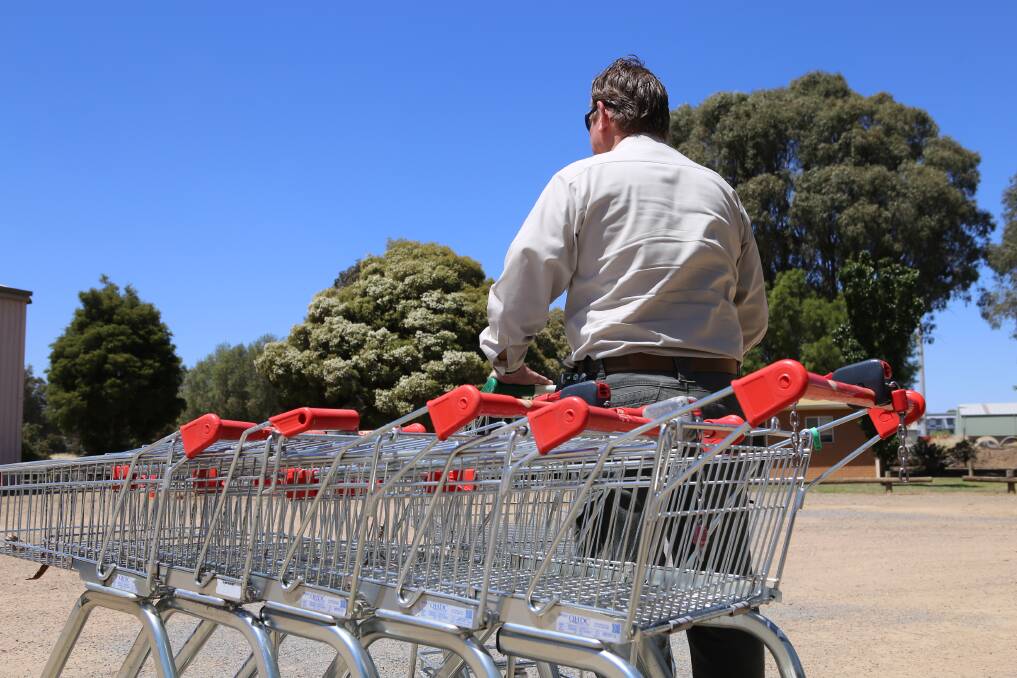 PUT THEIR BACK INTO: Wagga City Council rangers collecting abandoned shopping trolleys across the city. Picture: Contributed
